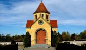 Tocht Te voet Argenbühl - Wanderung Panoramahöhenweg durch Wald und Flur (Argenbühl: 8) - Photo 9