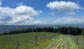 Trail Walking Murat-le-Quaire - Puy Loup- Banne d’Ordanche-Gacherie - Photo 4