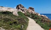 Tour Wandern Perros-Guirec - de PerrosGuirec à  Ploumanach AR - Photo 4