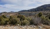 Tour Wandern Gémenos - Col de L'Espigoulier, col de Bretagne, Dents de Roque Forcade A/R - Photo 20