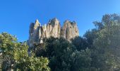 Trail Walking Gigondas - Dentelles de Montmirail - Photo 10