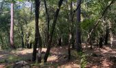 Trail  Vence - La sine 06. 1 - Photo 2