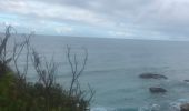 Trail Nordic walking Sainte-Anne - Fond grand ma  modette le littoral  - Photo 17
