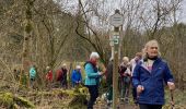 Tocht Stappen Paliseul - Maissin, la Lesse 4 - Photo 7