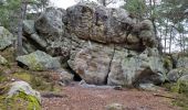 Excursión Senderismo Noisy-sur-École - Noisy-sur-Ecole - Abris ornés et cavités diverses - Photo 4