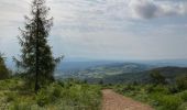 Trail Walking Saint-Cyr-le-Chatoux - Saint-Cyr-le-Chatoux / 10 km - Photo 6