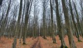 Randonnée Marche Libramont-Chevigny - rando laneuville(libramont)18/02/2021 - Photo 2