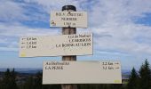 Tour Wandern La Pesse - la Pesse  - Photo 2