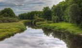 Tocht Te voet Novosedly nad Nežárkou - [Z] Stará Hlína - Pomník E. Destinnové - Photo 5