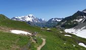 Trail Walking Beaufort - Combe de la Neuva depuis le Cormet de Roselend - Photo 15