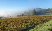 Trail Walking Cabrières-d'Aigues - le Mourre Nègre - Photo 1