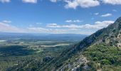 Tour Wandern Saint-Rémy-de-Provence - Le plateau de Caume - Photo 5