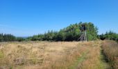 Tour Wandern Dreibrücken - rando logbiermé 6-08-2024 - Photo 5