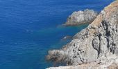 Tour Wandern Port-Vendres - port vendre . cap bear / retour  - Photo 9