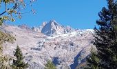 Tocht Stappen Chamonix-Mont-Blanc - 20231011 Montroc Le Tour - Photo 3