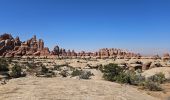 Randonnée Marche Unknown - 2024 Canyonlands The Needles - Photo 8