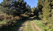 Tocht Trail Arfons - rando trail presque cheval - Photo 3