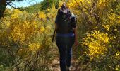 Tour Wandern Sisteron - chapelle de st  Domin - Photo 8