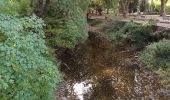 Tour Wandern Cabasse - les dolmens 3 - Photo 2