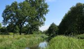 Trail On foot Bocholt - Smeetshof Oranje bol - Photo 4