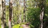 Tocht Stappen Malmedy - Les deux rochers  - Photo 7