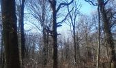 Tocht Stappen Seraing - descente dans le bois de la vecquée - Photo 7