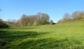 Tour Wandern Chaumont-Gistoux - #210427 - Longueville, Hèze et Petit Hacquedeau - Photo 13