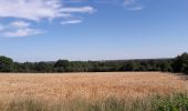 Tour Wandern Anhée - Boucle de 12 km au départ de Warnant - Photo 1