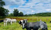 Percorso Marcia Diepenbeek - La vallée du Démer - La réserve naturelle Dorpsbemden à Diepenbeek - Photo 9