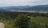 Percorso Marcia Lans-en-Vercors - Pic Saint-Michel et col d'Arc Vercors - Photo 10