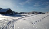 Tocht Sneeuwschoenen Haut Valromey - raquettes chapelle5km6 - Photo 9
