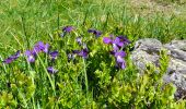 Trail Walking Les Adrets - LE GROS CAILLOU PAR LA COLONIE - Photo 17