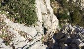 Trail Walking La Valette-du-Var - le Coudon - Photo 5