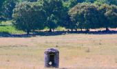 Trail Walking Collobrières - SityTrail - Collobriéres - Menhirs de Lambert - Photo 9