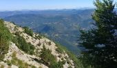 Trail Walking Beaumont-du-Ventoux - ventoux par ancien gr9 et hr4 - Photo 4