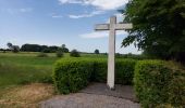Tour Wandern Momignies - Macquenoise 170621 - Photo 12