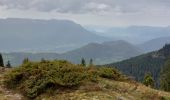 Percorso Marcia Theys - PINCERIE EN BOUCLE DEPUIS PIPAY - Photo 10