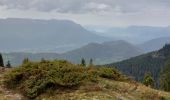 Excursión Senderismo Theys - PINCERIE EN BOUCLE DEPUIS PIPAY - Photo 10