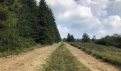 Randonnée Marche Malmedy - La cascade du Bayehon  - Photo 4