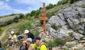 Trail Walking Courmes - Courmes, Plateau de St Barnabé, le Champ des Idoles - Photo 3