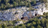 Randonnée Marche Ollioules - Chateau Vallon - Oppidum - Meulerie - Grotte patrimoine - vallon du Destel - Grotte des Joncs 9 - Four à cade - Appier - Four à chaux - Photo 5