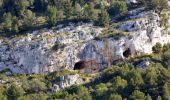 Excursión Senderismo Ollioules - SityTrail - 1041295 - le-destel-grotte-des-joncs - Photo 5