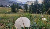 Trail Walking La Condamine-Châtelard - Sainte Anne de la Condamine 2 - Photo 18