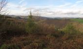 Percorso A piedi La Roche-en-Ardenne - SityTrail - 2614892 - la-roche-ex-ardennes- - Photo 3