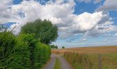 Tocht Stappen Comblain-au-Pont - qwadrifyon autour d´Oneux  - Photo 5