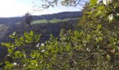 Trail Walking Les Gras - Les Gras Trail Walking Les Gras - Les Gras
