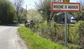 Trail On foot Roche-d'Agoux - La Roche d'Agoux - Photo 9