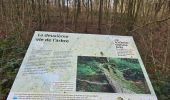 Trail Walking Ham-sur-Heure-Nalinnes - GR 129 Noirchien - N-D Loverval  - Photo 13