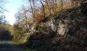 Tocht Stappen Spa - musée du l'avoir		+ bois de Spa + étang de Chawion - Photo 18