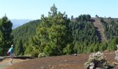 Tour Wandern El Paso - Wikiloc - La Palma: Cumbre Vieja Vulkaanroute half - Photo 12